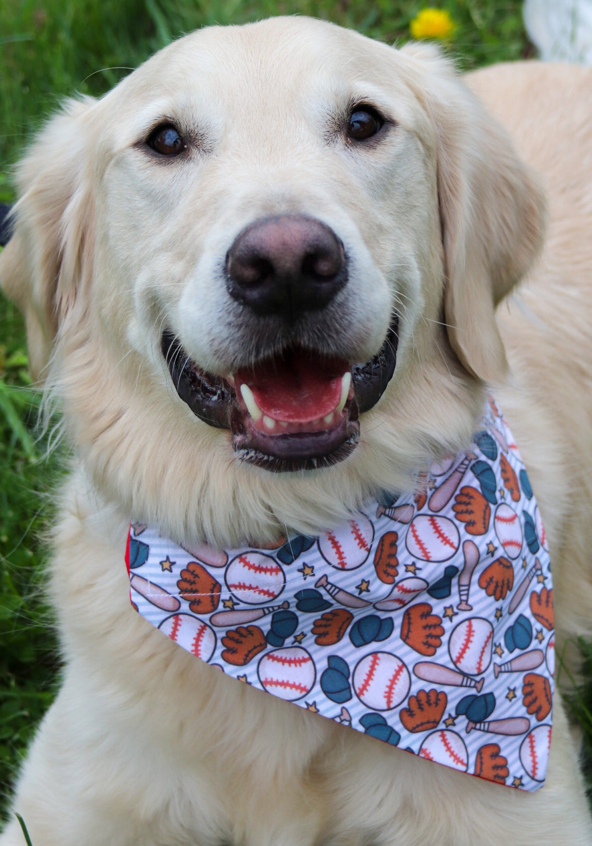 Baseball Bandana