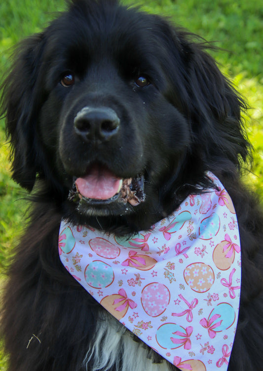 Eggs & Bows Bandana