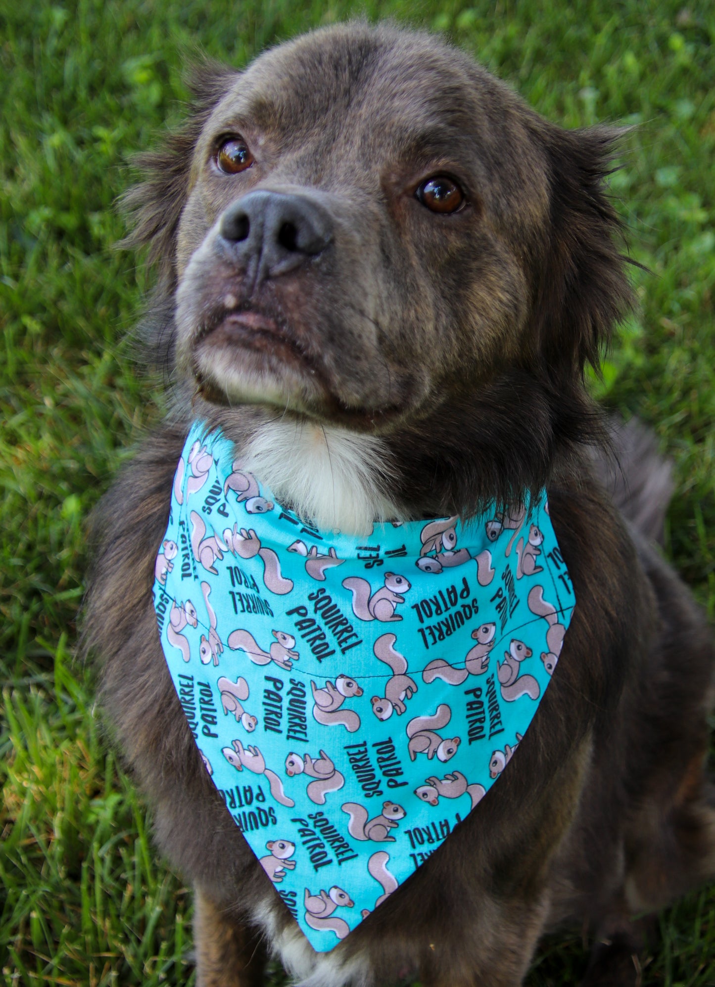 Squirrel Patrol Bandana
