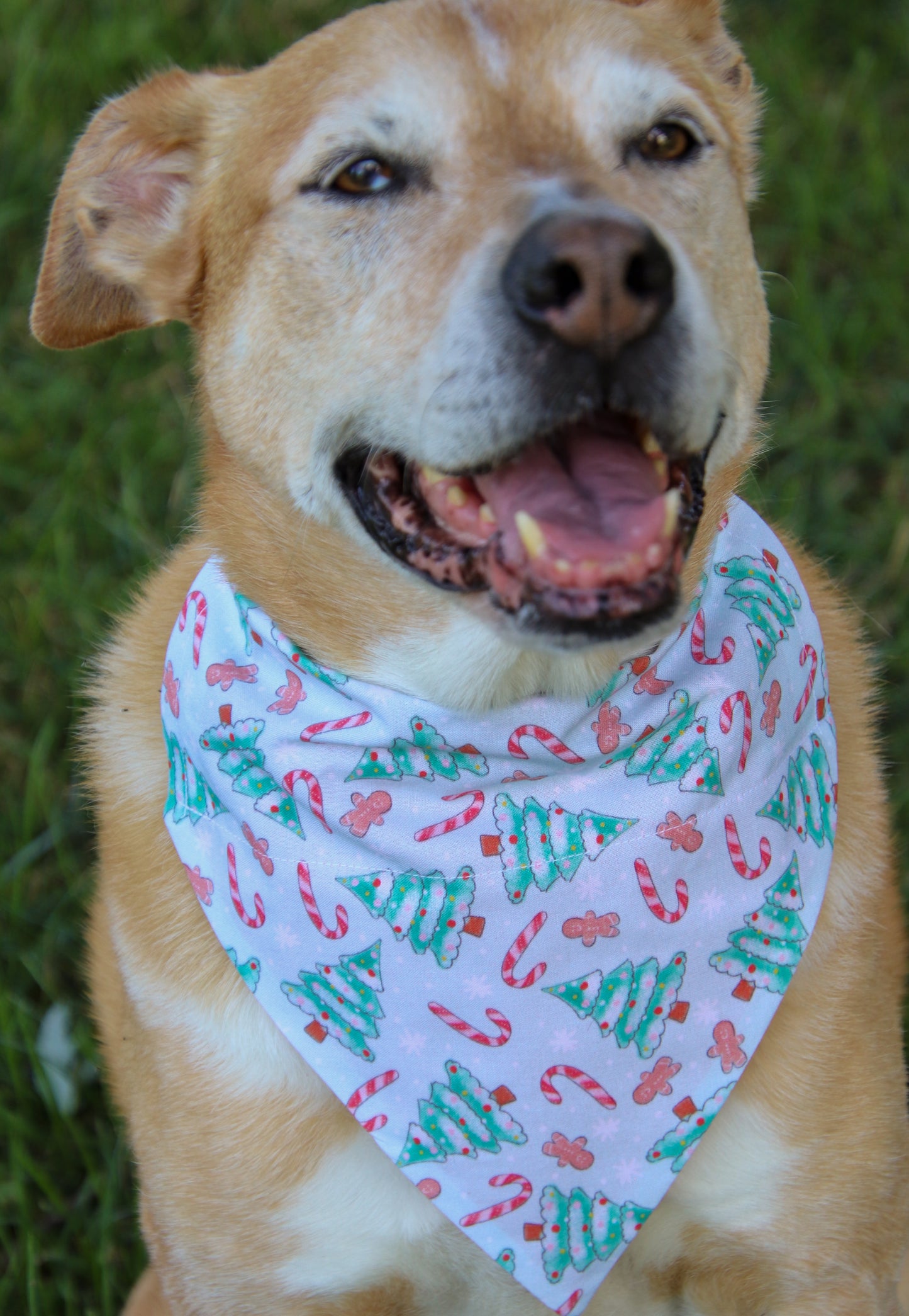Pastel Christmas Bandana