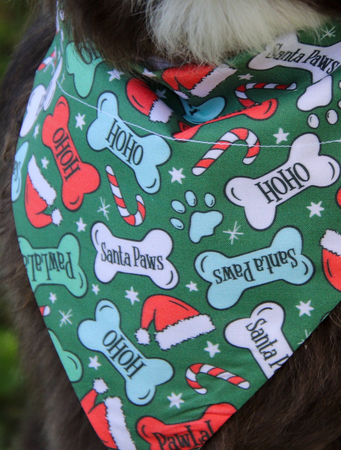 Santa Paws Bone Bandana
