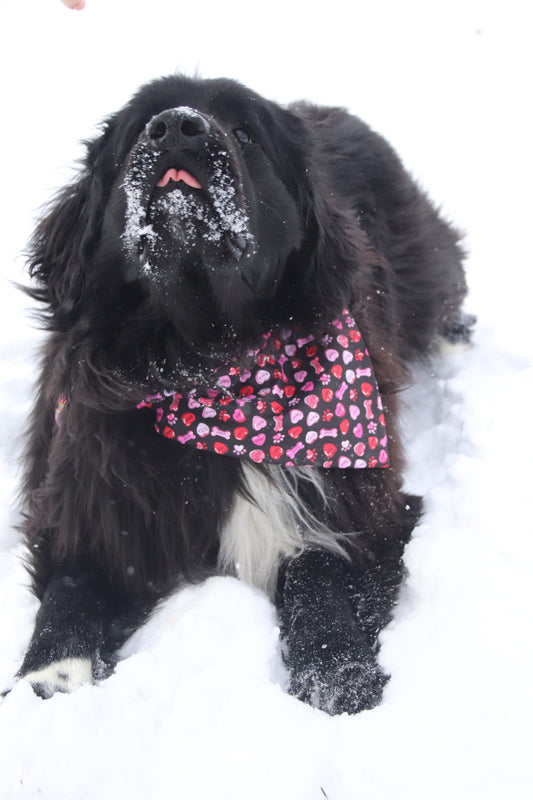 Woof Candy Hearts Bandana