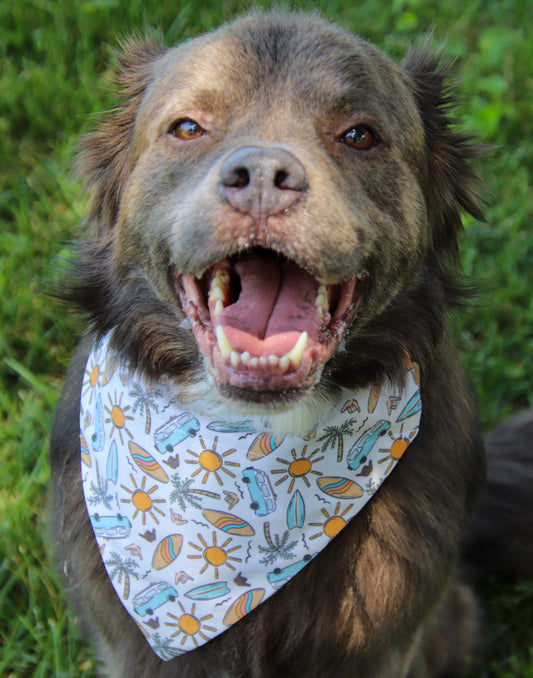 Surfboard Bandana