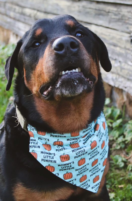 Mommy’s Little Pumpkin Bandana
