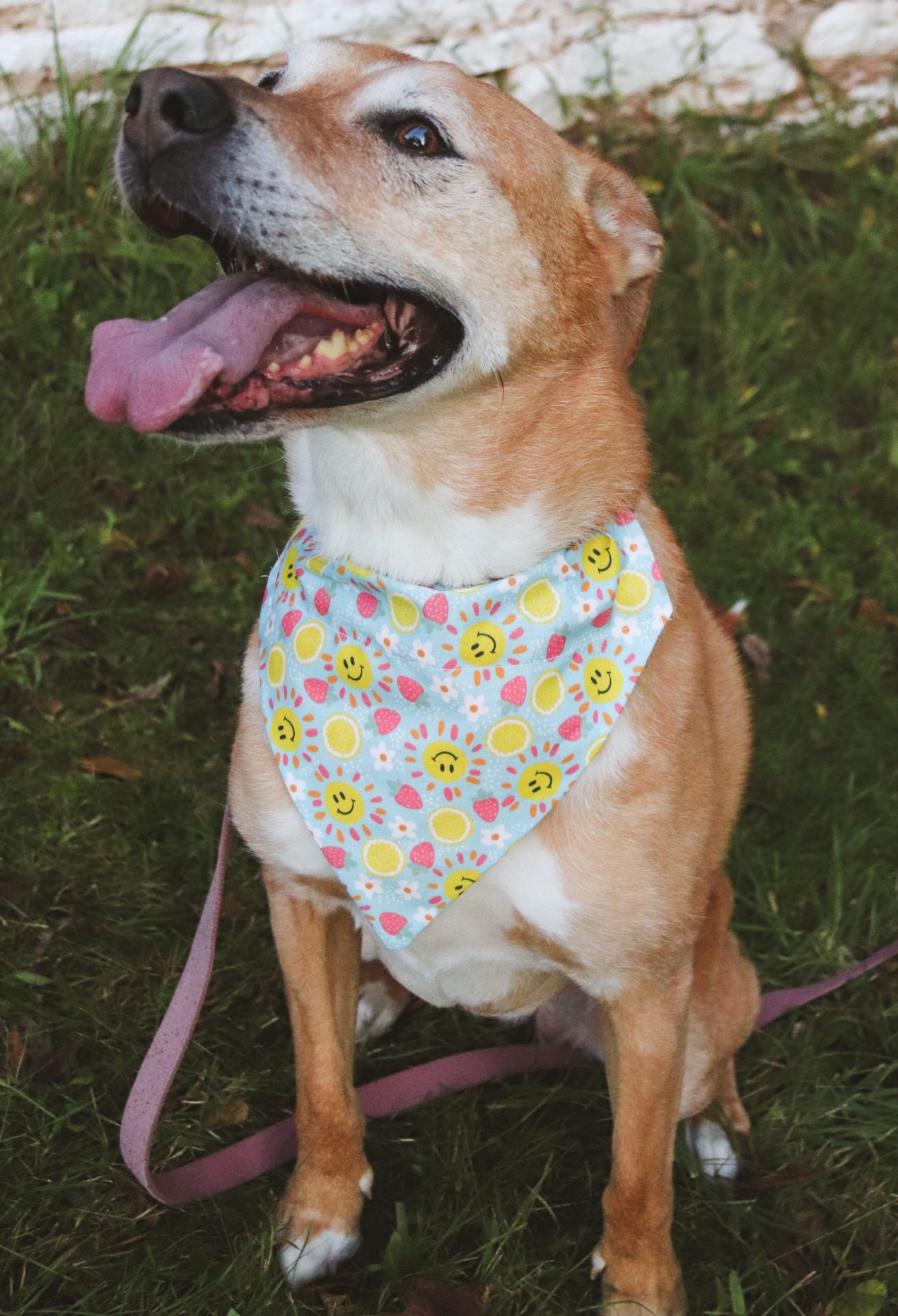 Strawberry/Lemon Sunshine Bandana