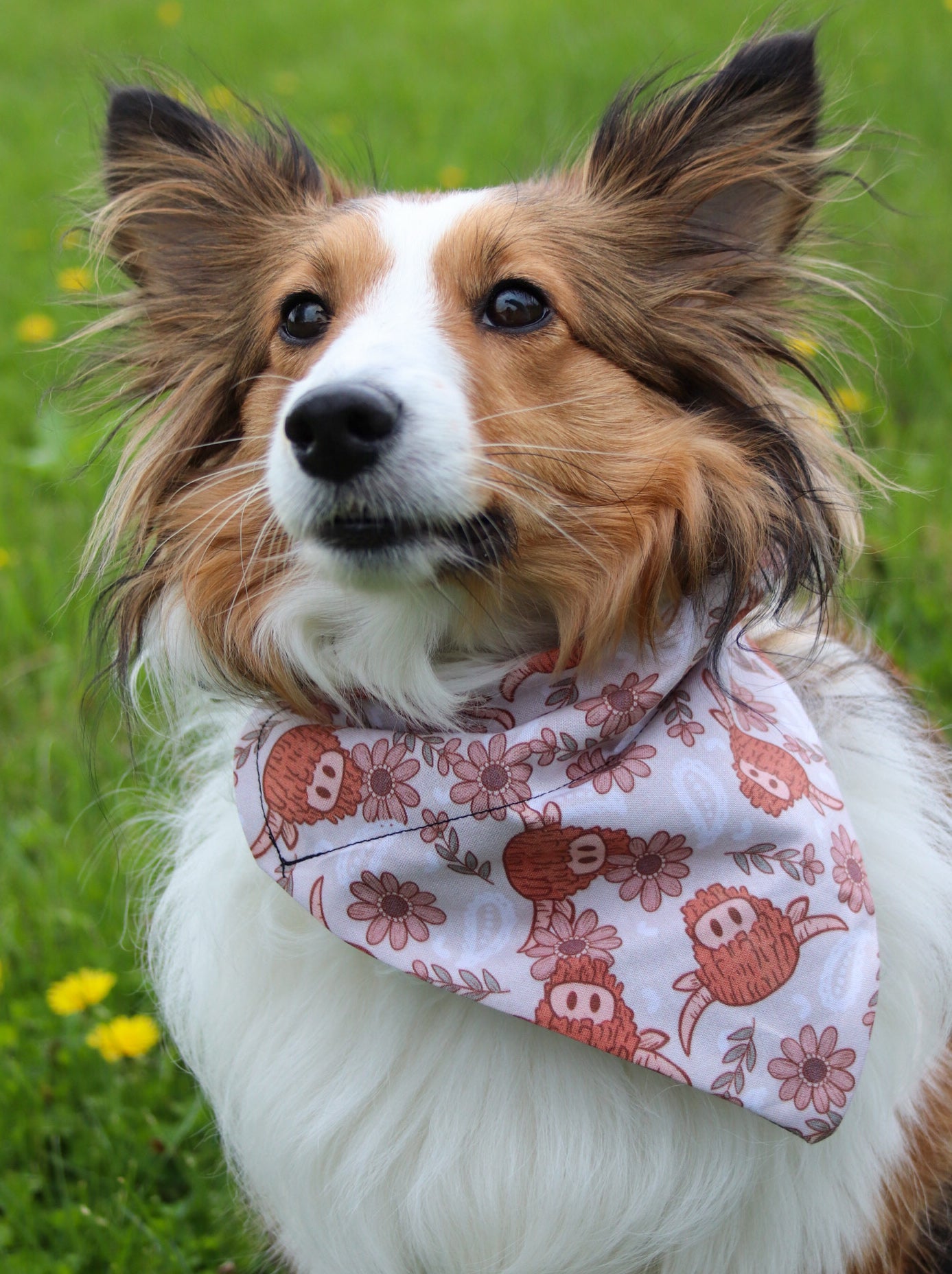Paisley Highland Cow Bandana