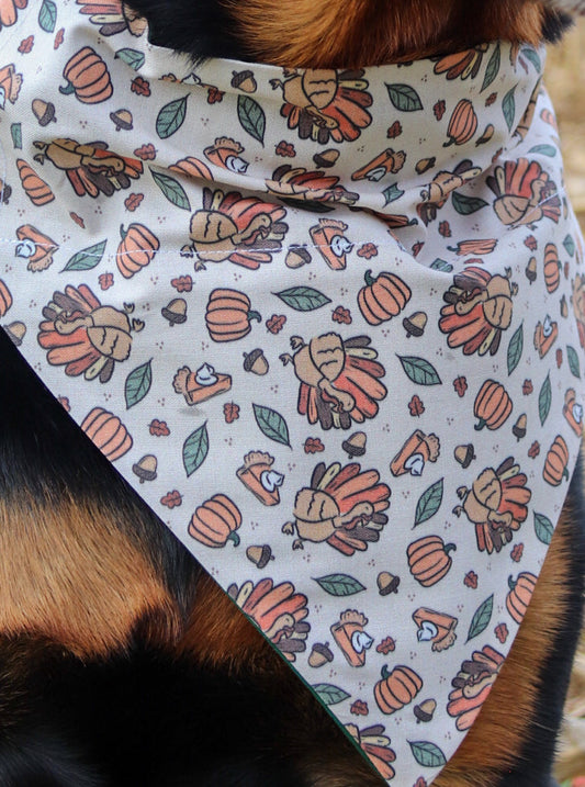 Beige Turkey & Pumpkin Bandana