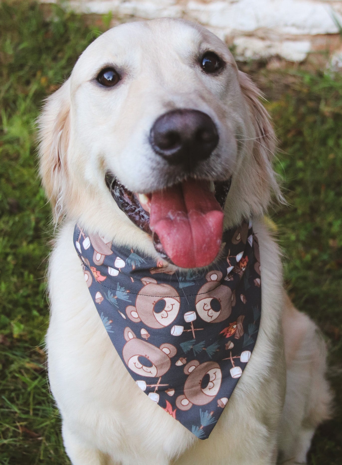 Camping Bear Bandana