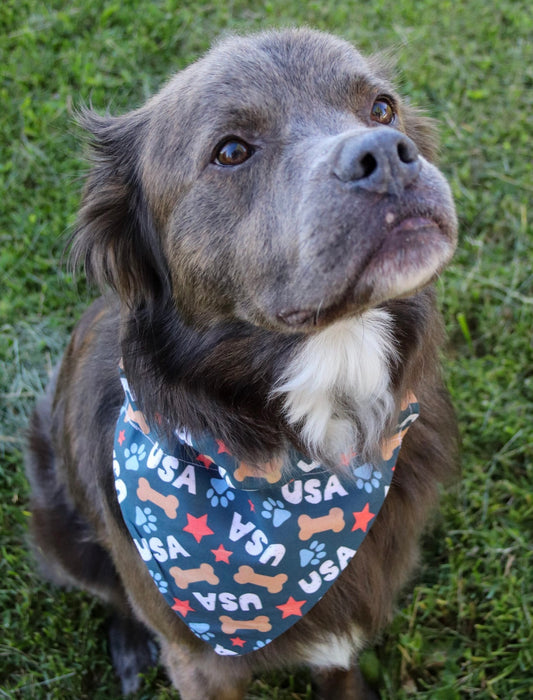 USA Bone Bandana