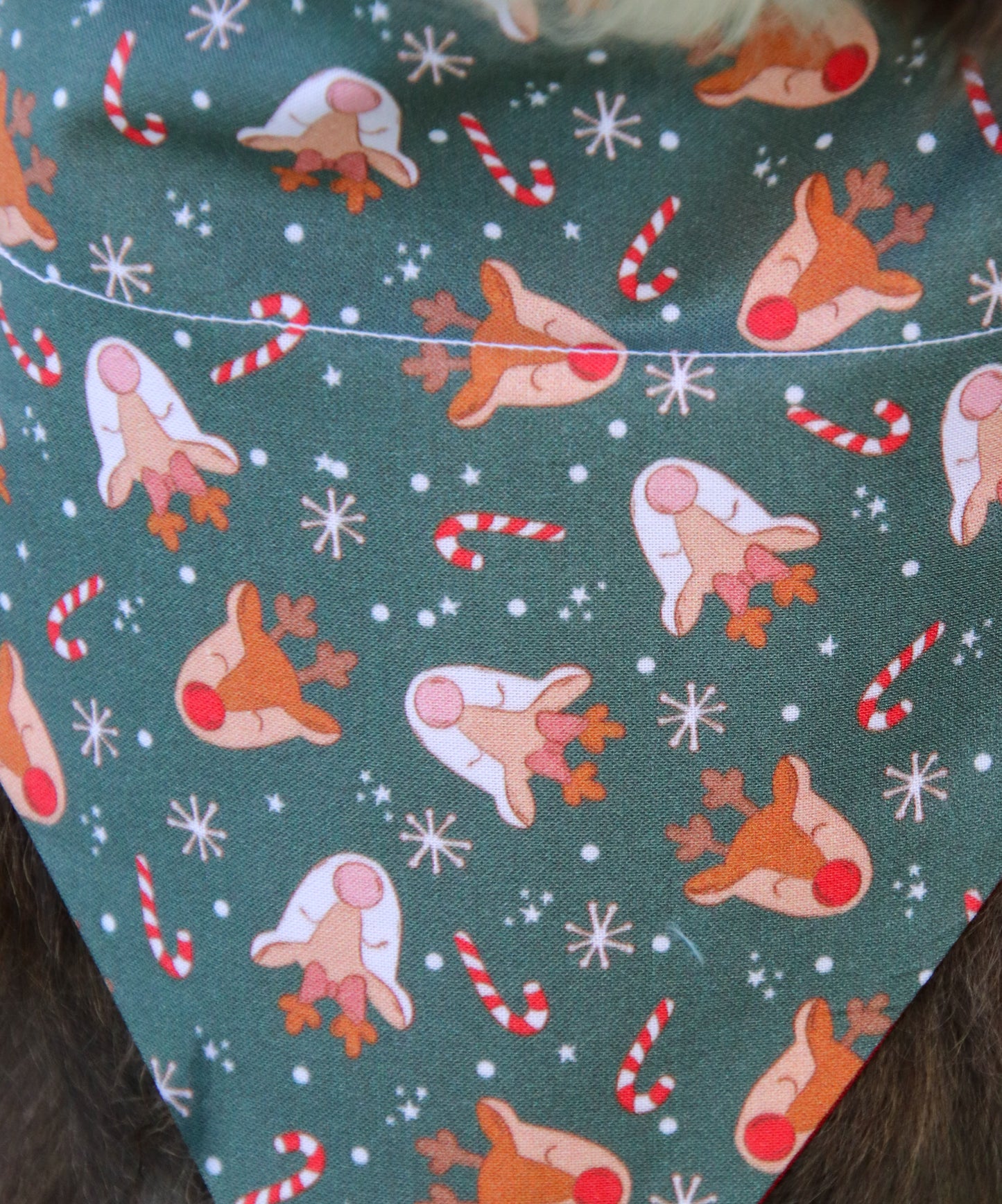 Rudolph Reindeer Bandana