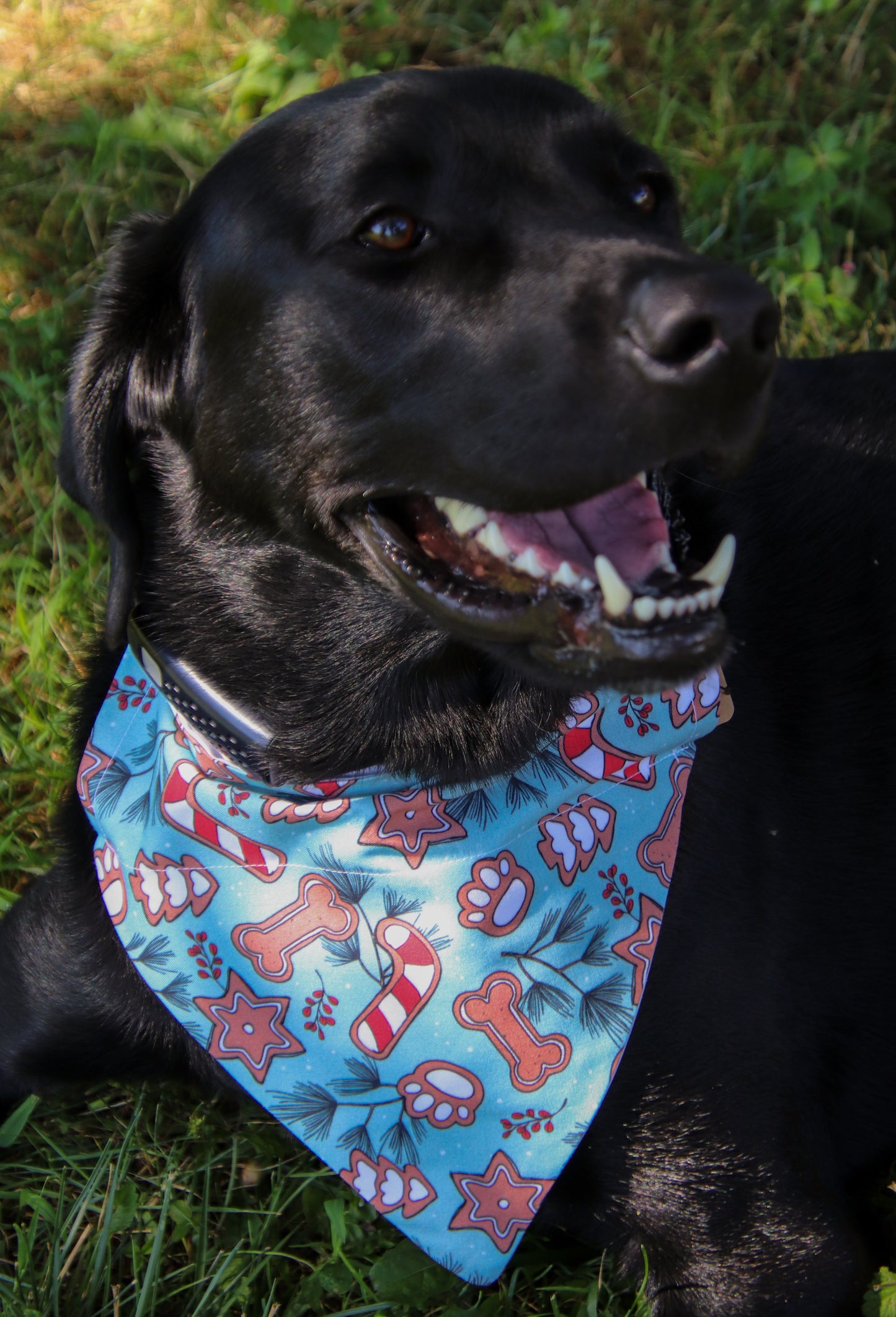 Christmas Treats Bandana
