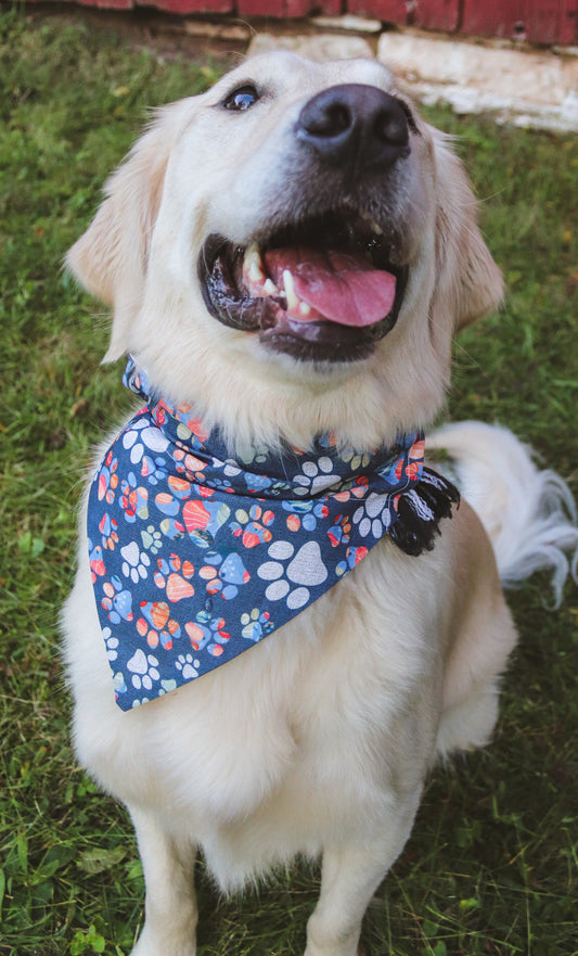 Pumpkin Pawprint Bandana