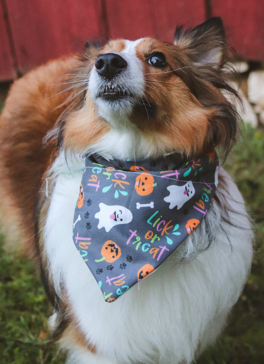 Lick or Treat Bandana