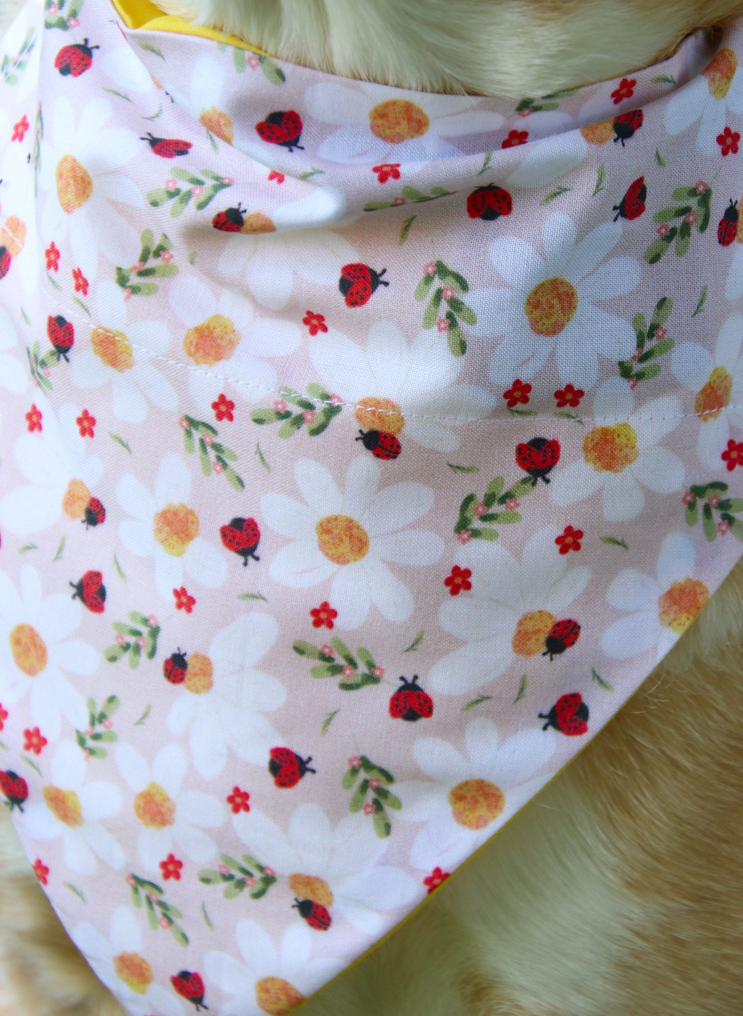 Daisies & Ladybugs Bandana