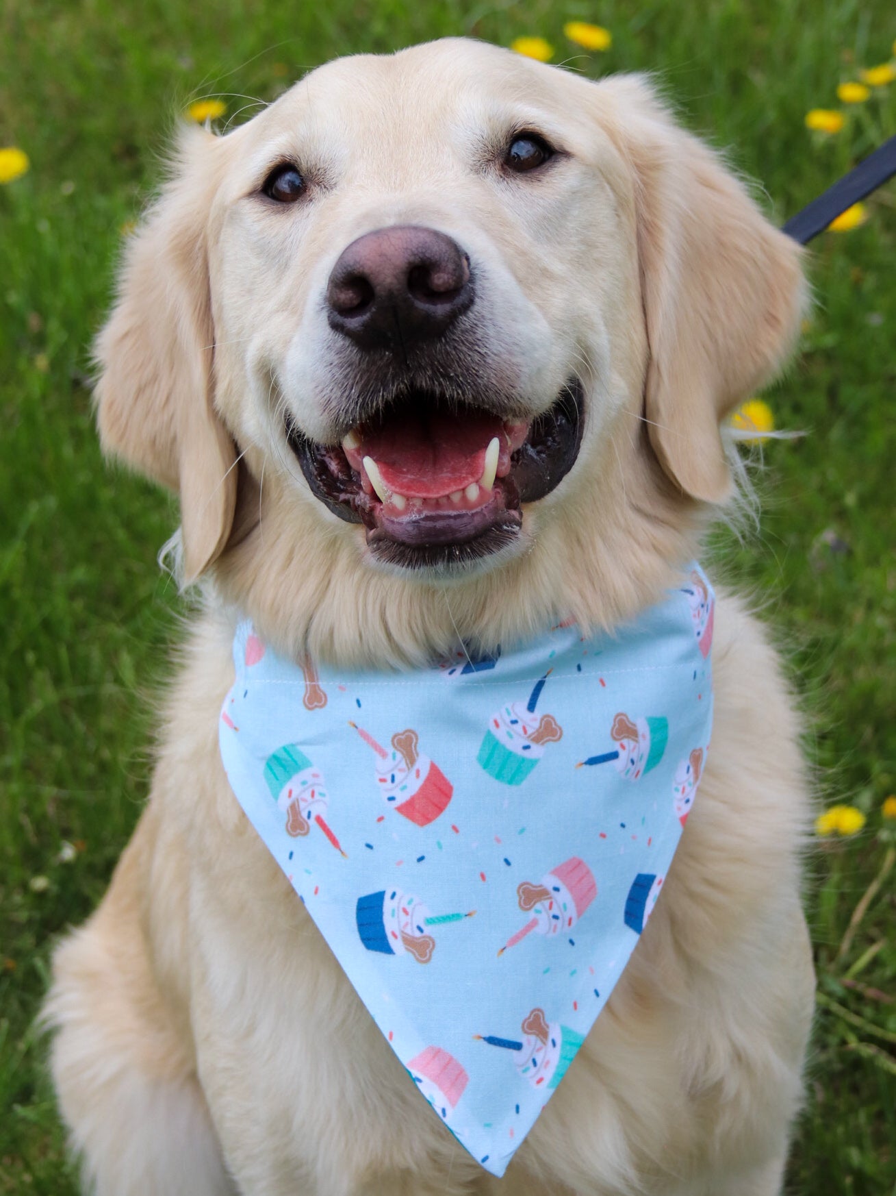 Birthday Pupcake Bandana