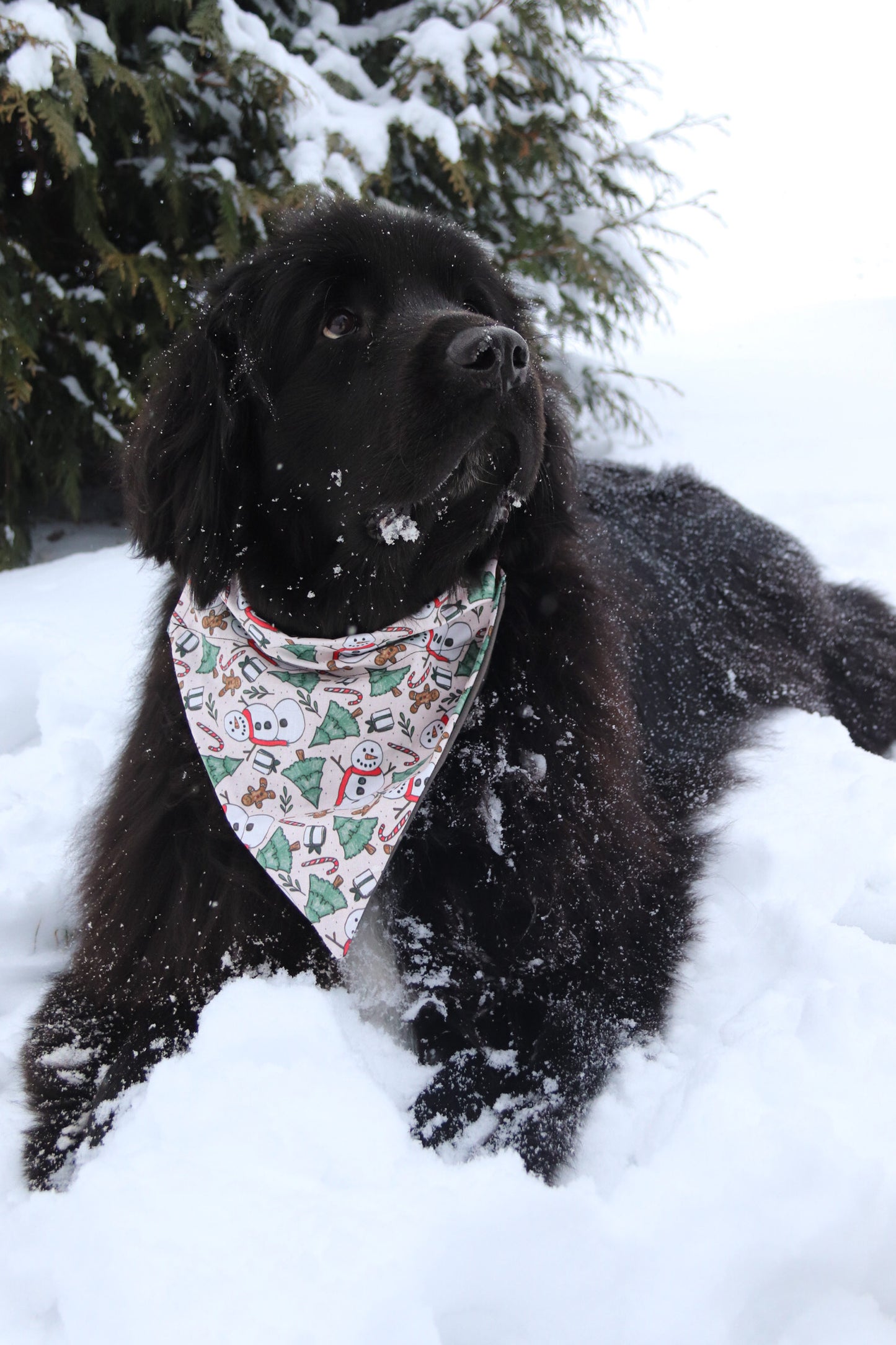Vintage Snowman Bandana