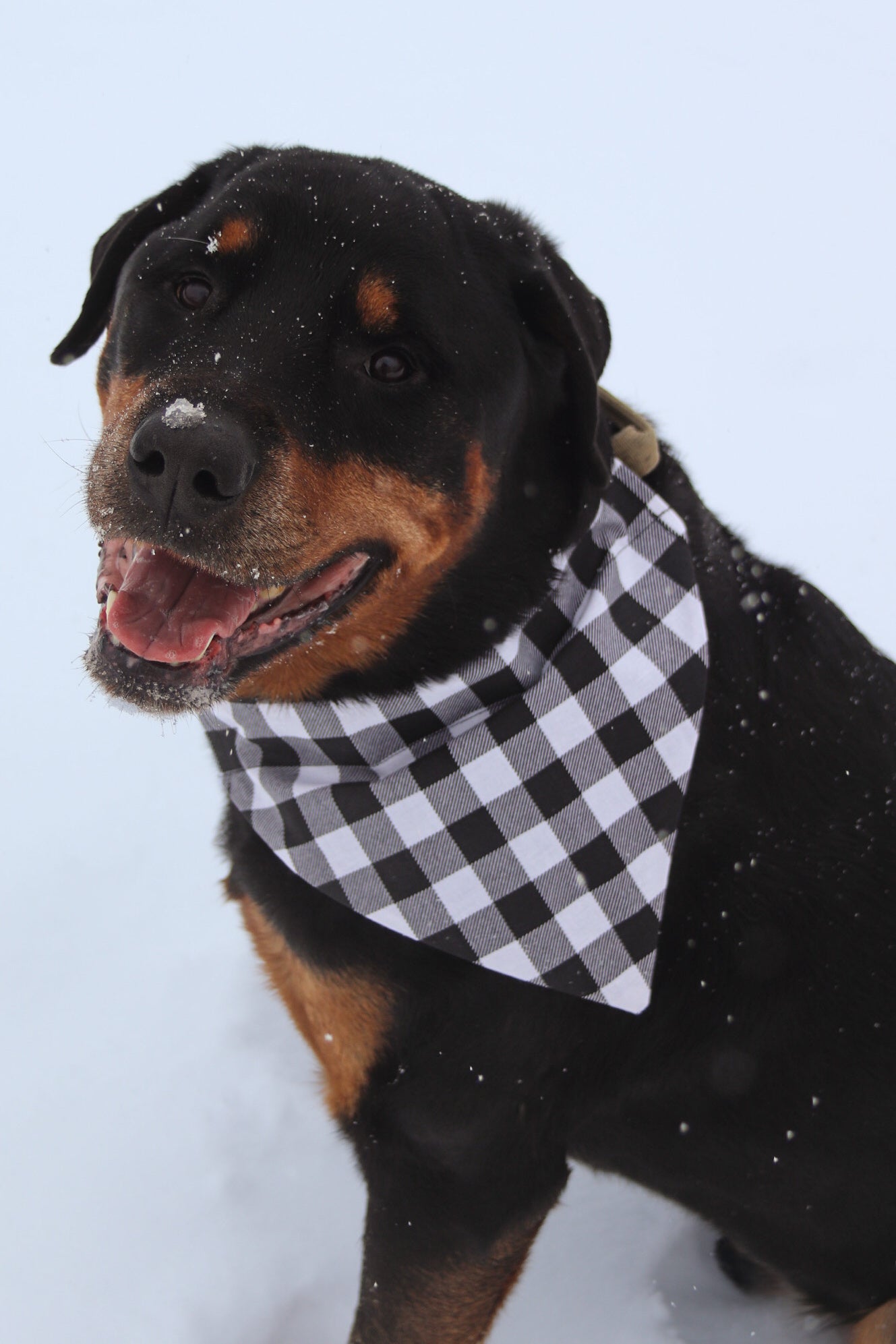 Black & White Plaid Bandana