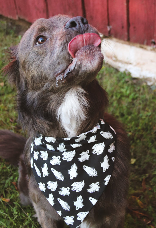 Glow In The Dark Ghost Bandana