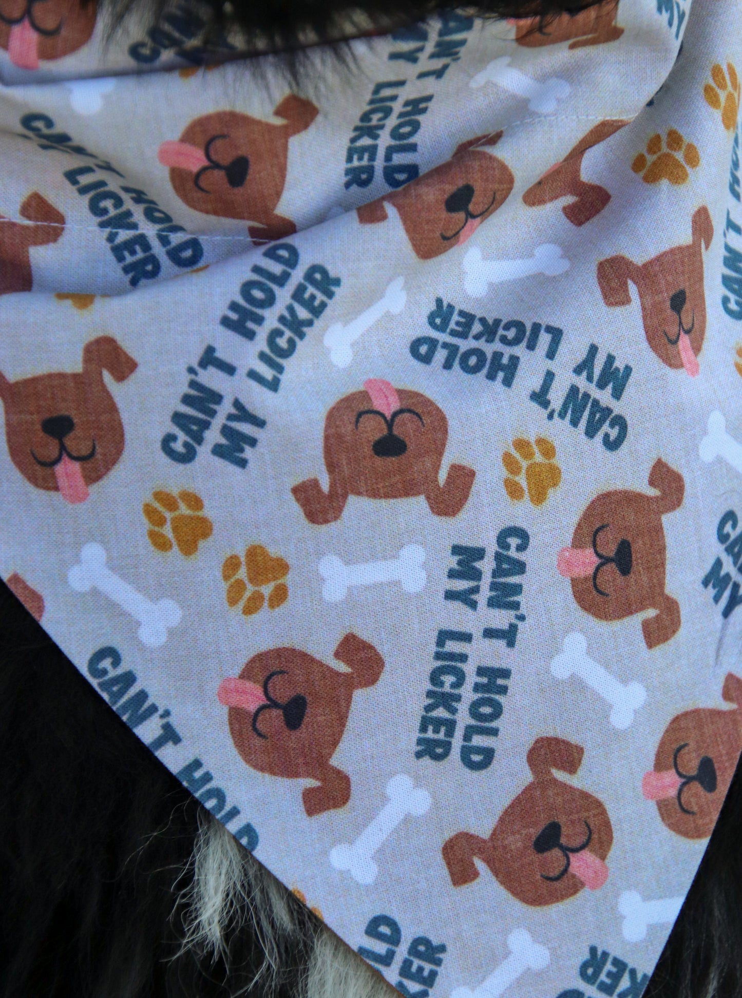 Can’t Hold My Licker Bandana