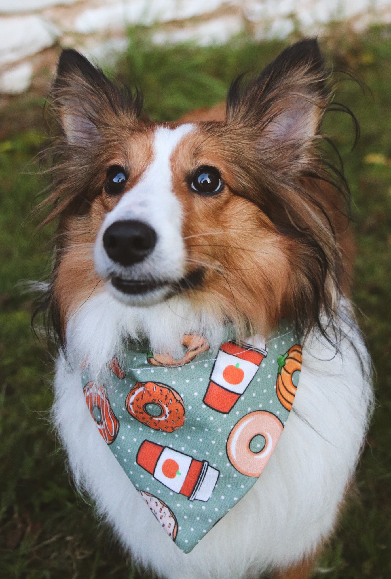 Coffee & Pumpkin Donut Bandana