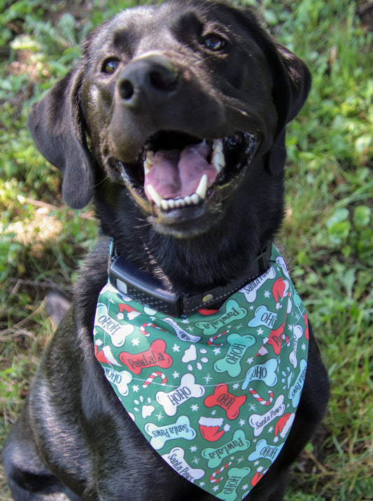 Santa Paws Bone Bandana