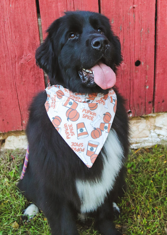 Pupkin Spice Coffee Bandana