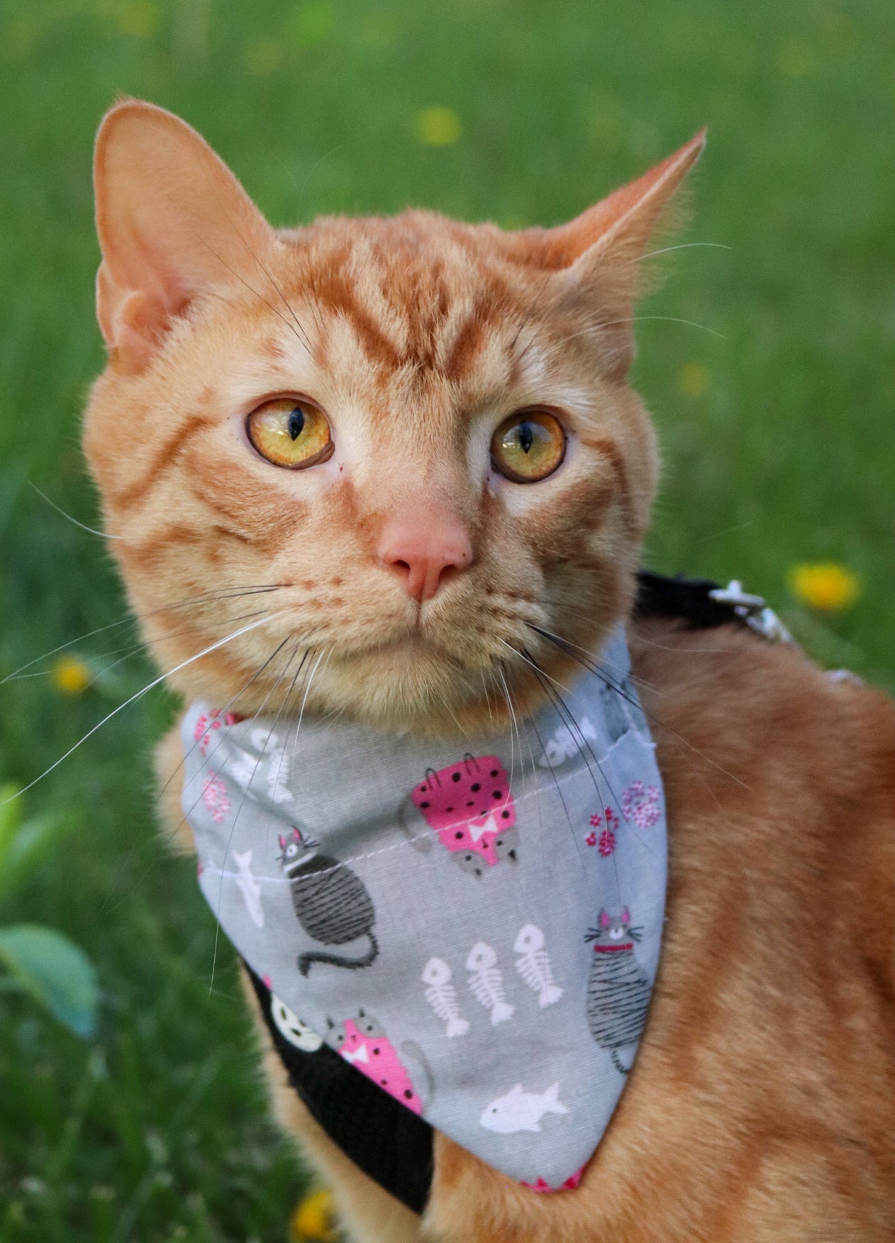 Fishbone Cat Bandana