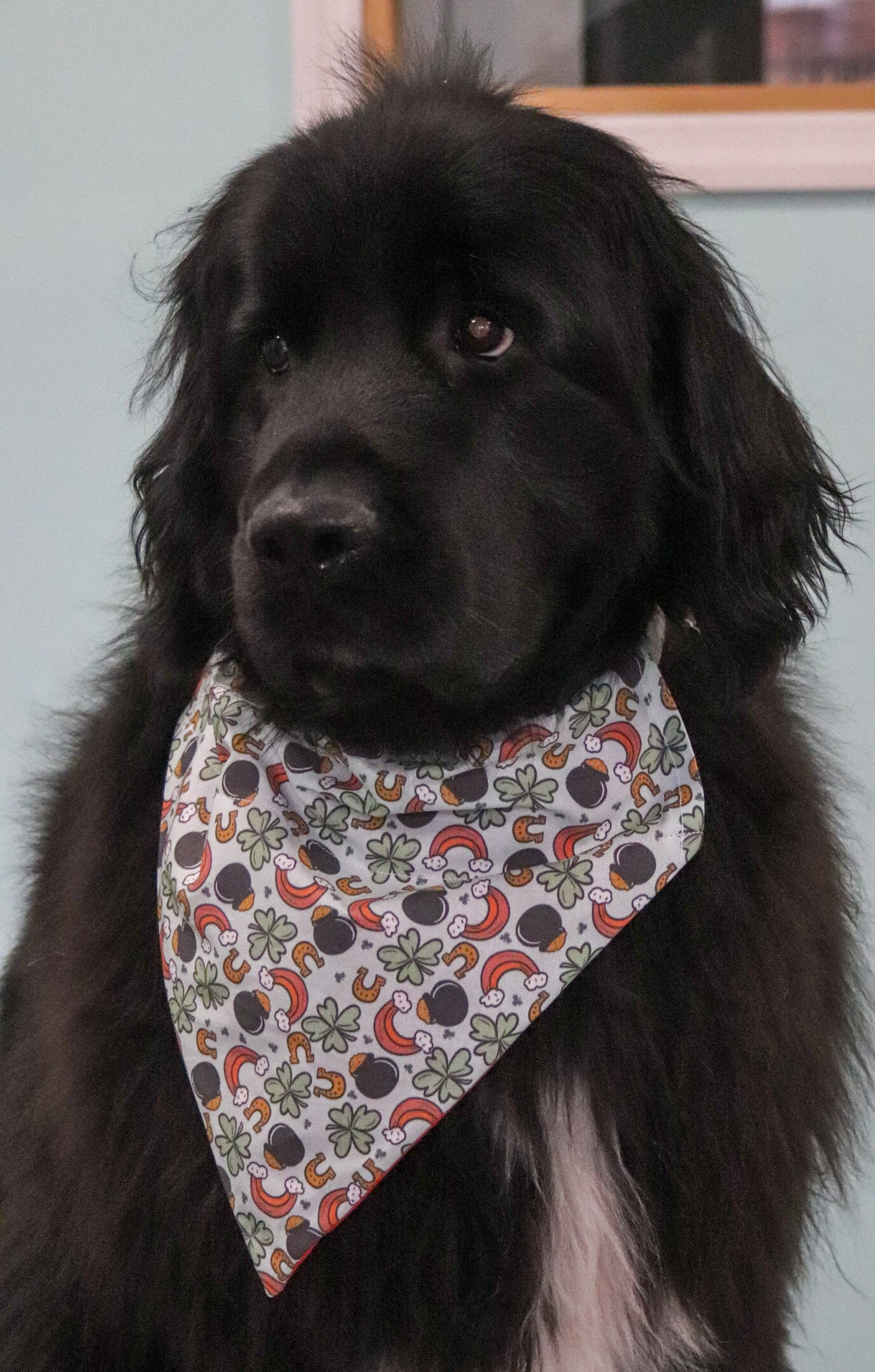 Rainbow & Pot of gold Bandana
