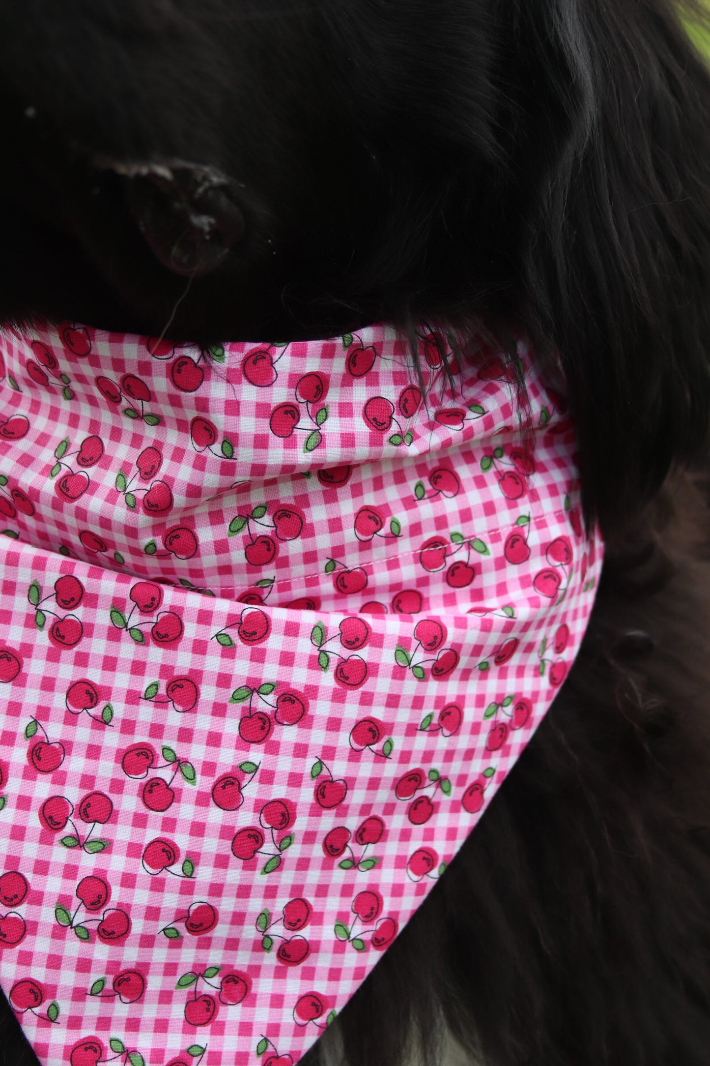 Cherry Plaid Bandana