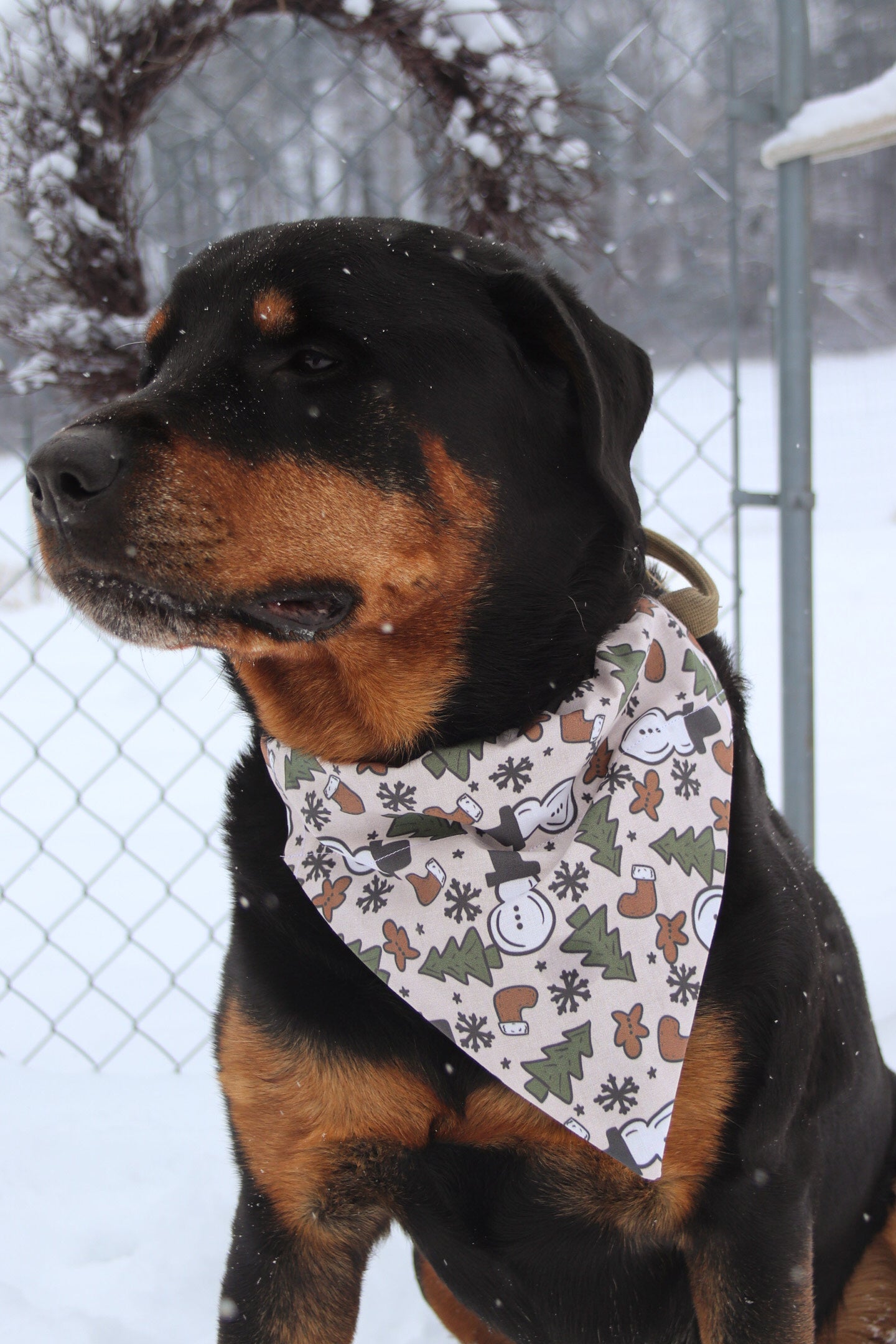 Snowman Bandana