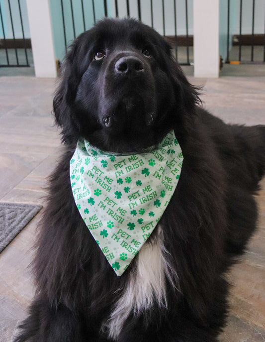Pet Me I’m Irish Bandana
