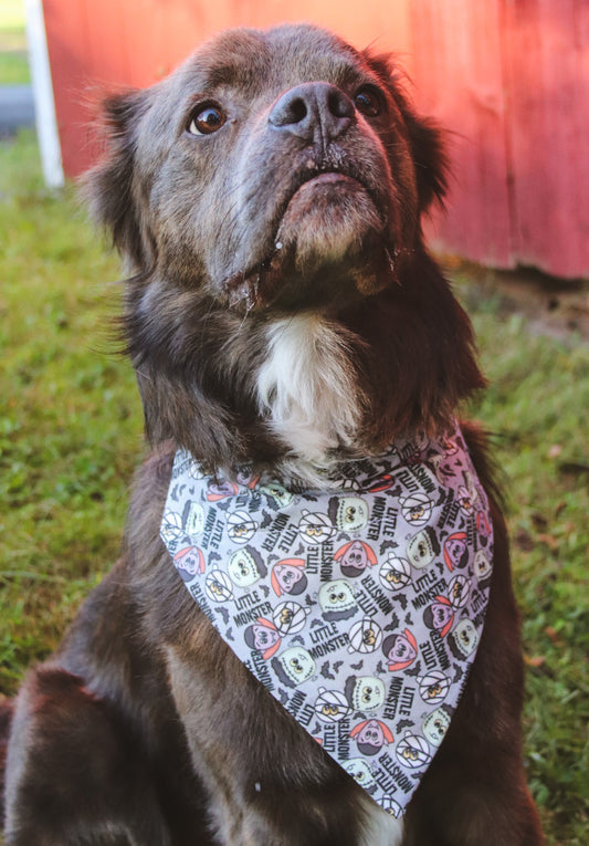 Little Monster Bandana