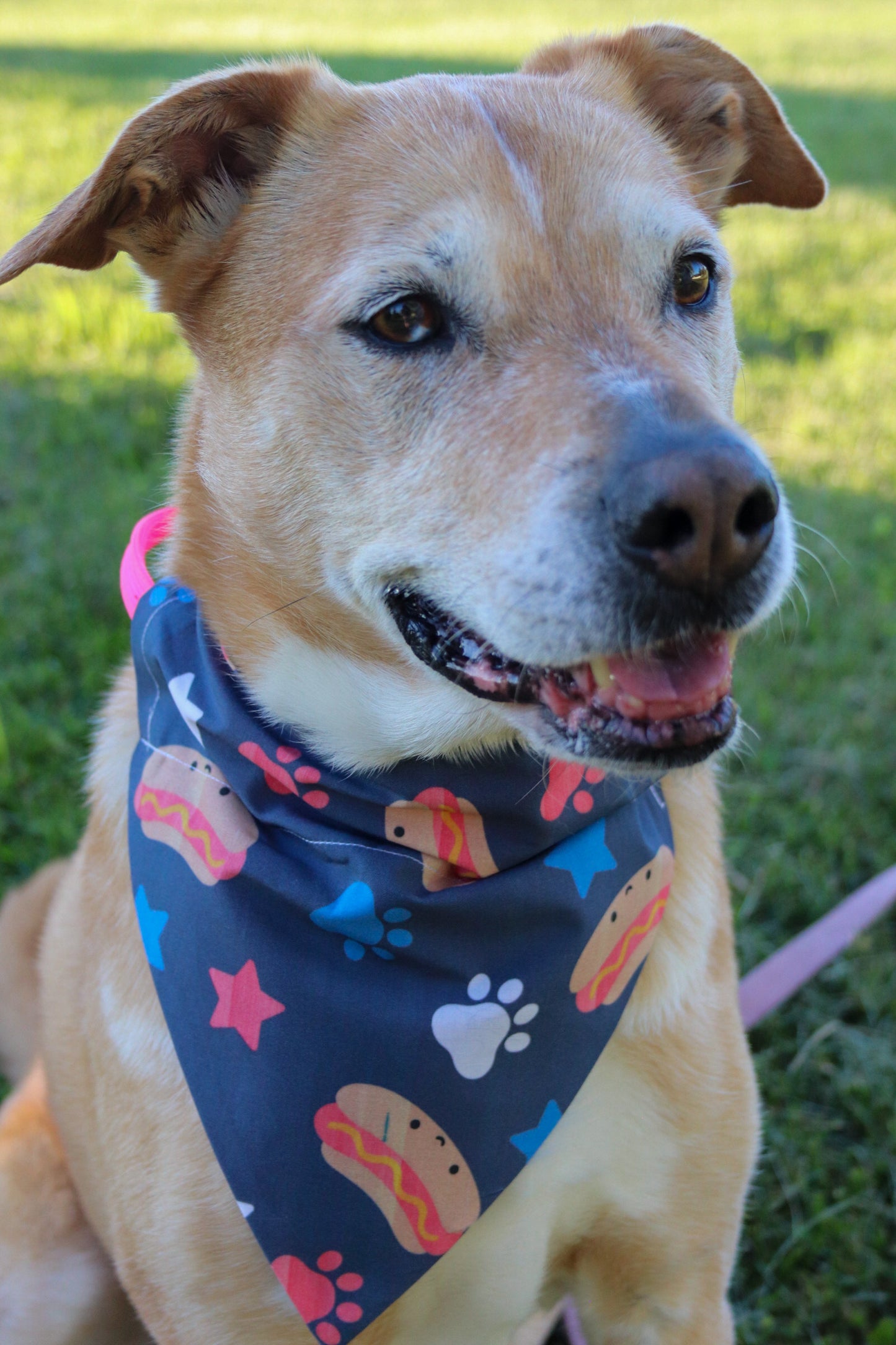 Hotdog Bandana