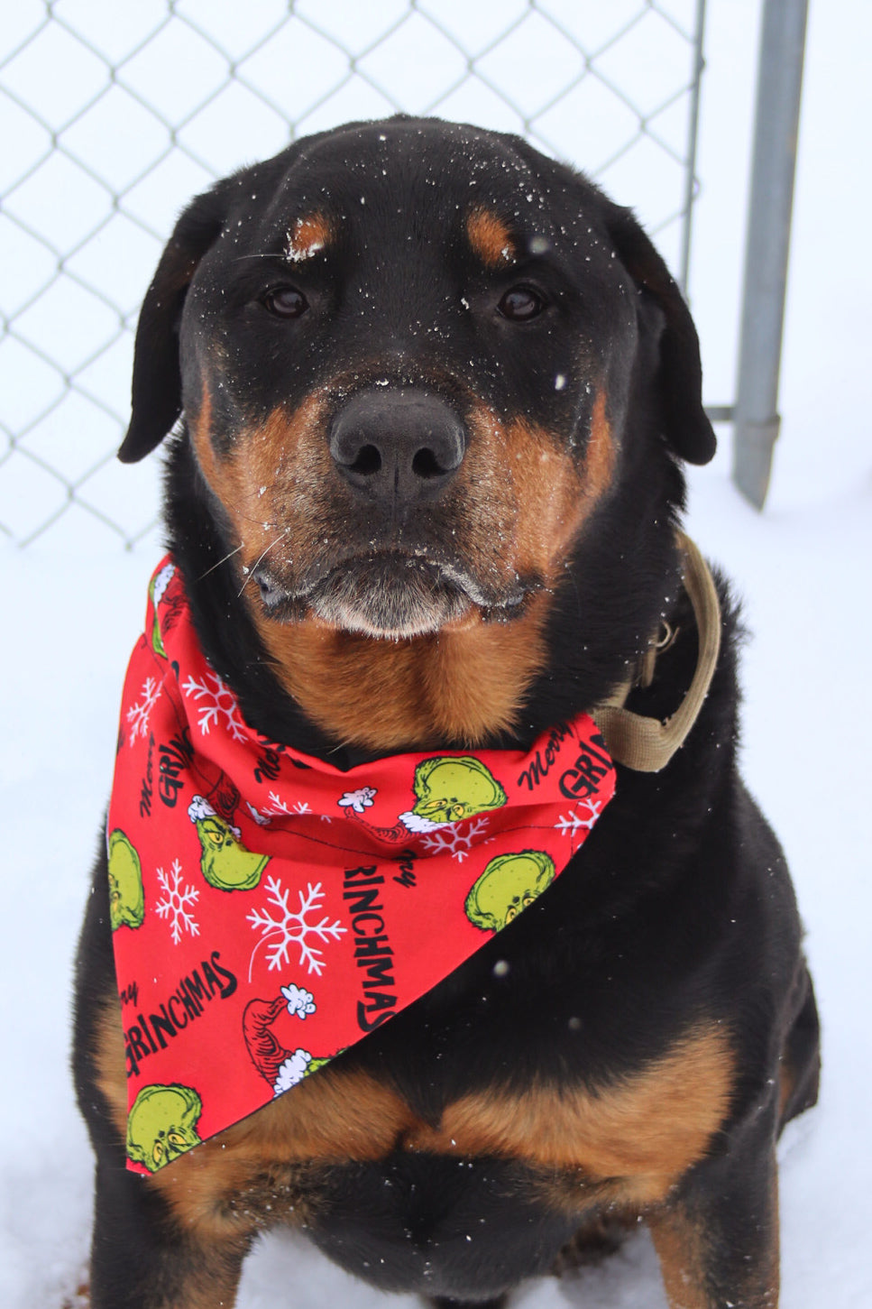 Merry Grinchmas Bandana