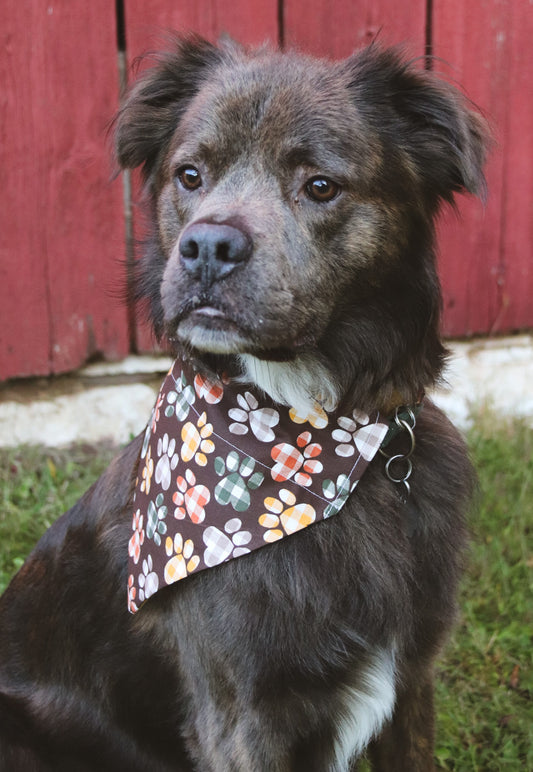 Fall Plaid Pawprint Bandana