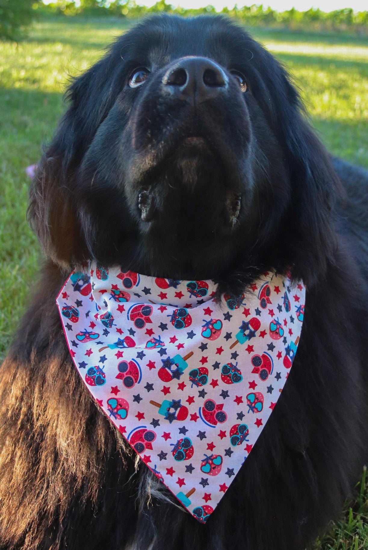 Glitter Fruit Bandana