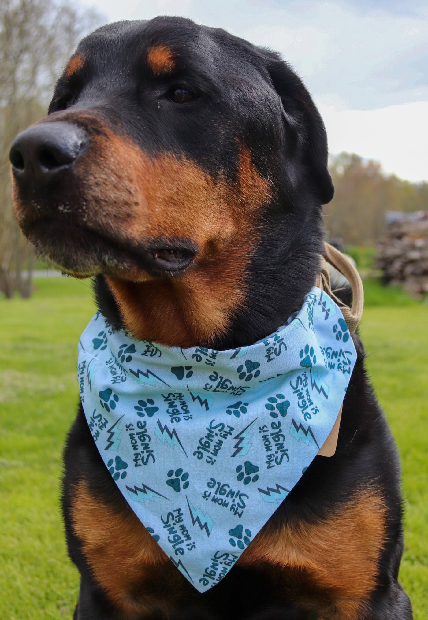 “My mom is single” Bandana