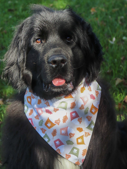 Fall Leaves & Pupcup Bandana