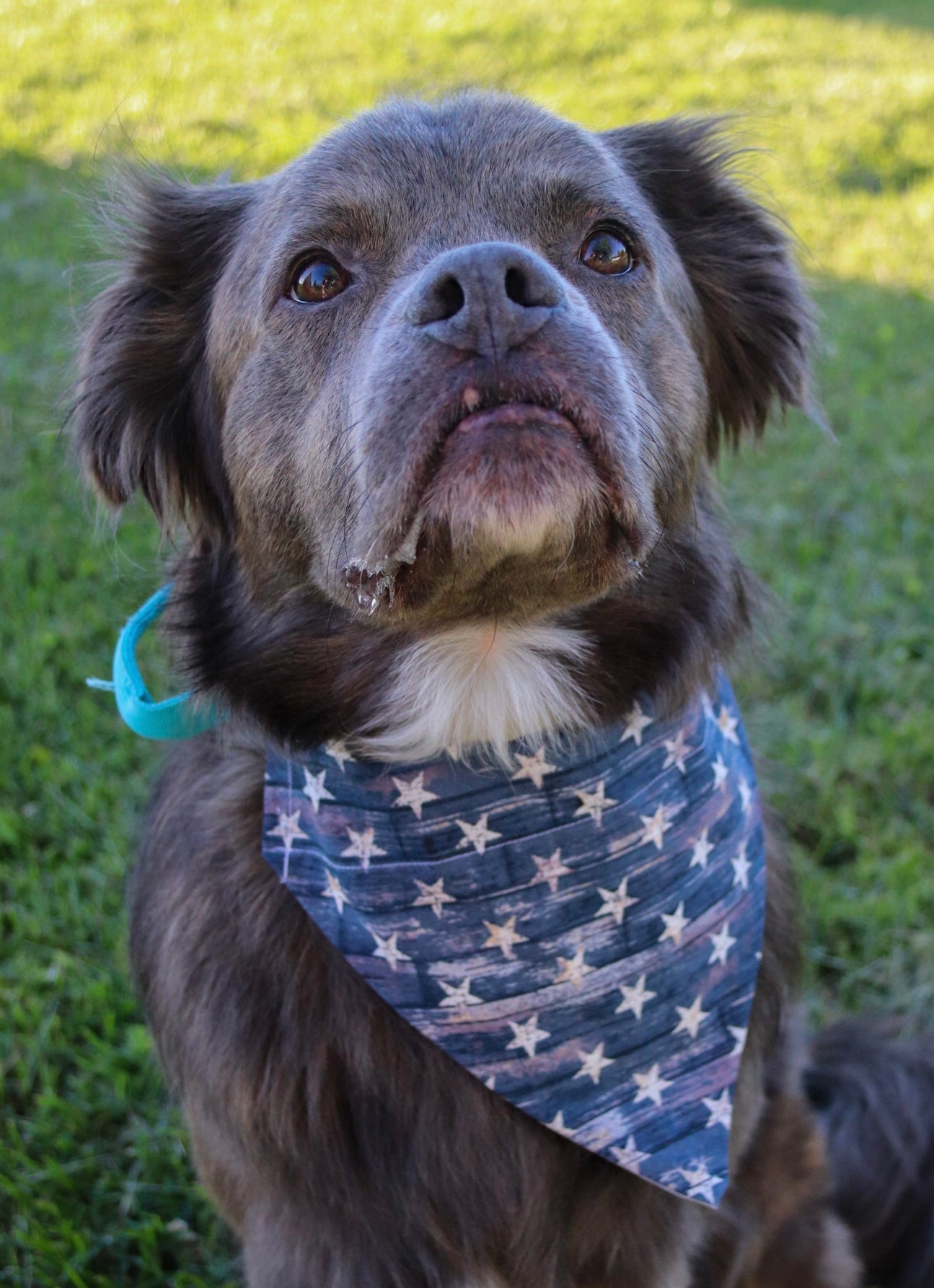 Star Bandana