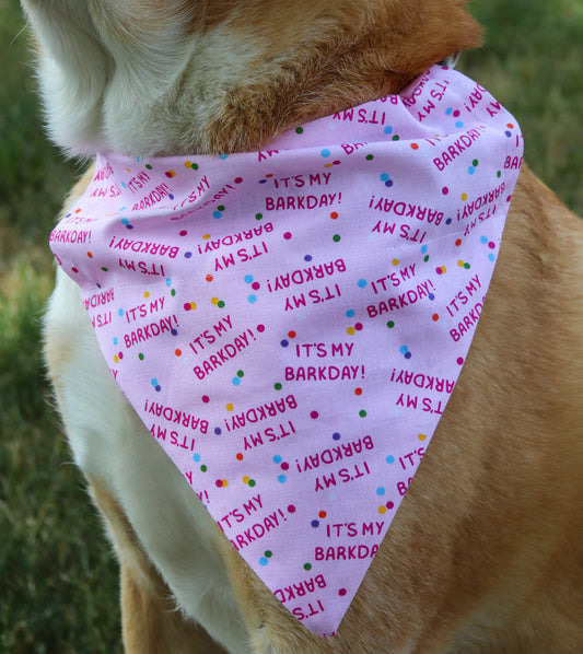 It’s my Barkday Bandana