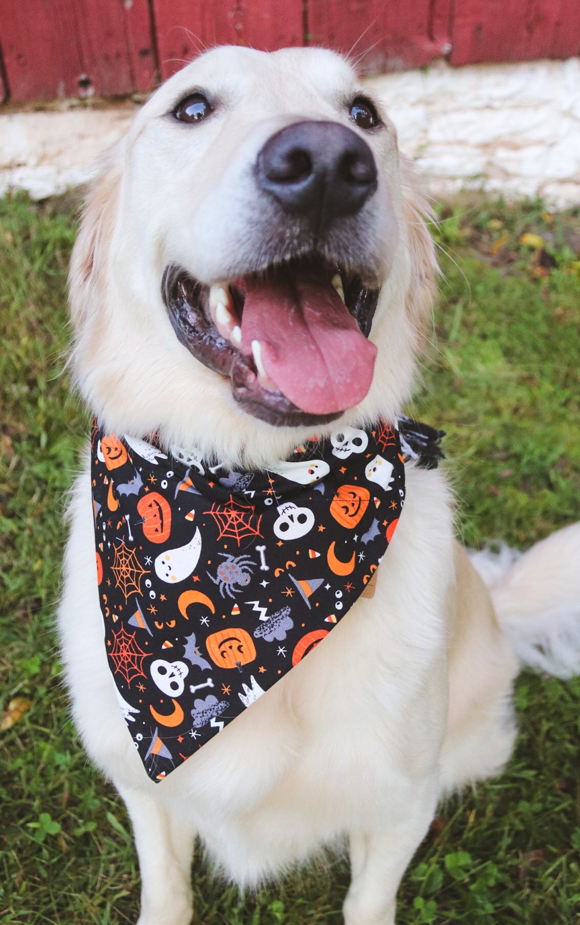 Pumpkin/Ghost/Skeleton Bandana