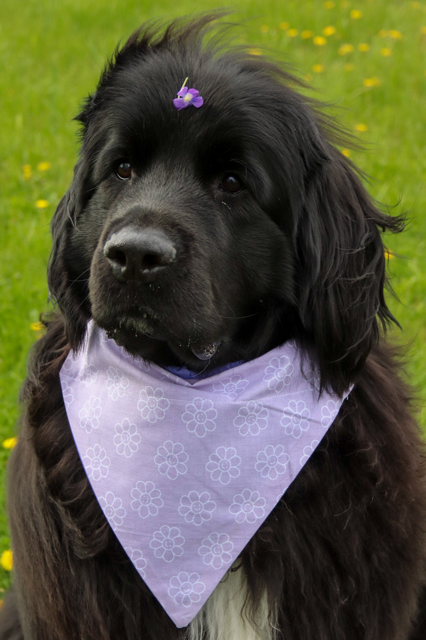Floral Smiley Lilac Bandana