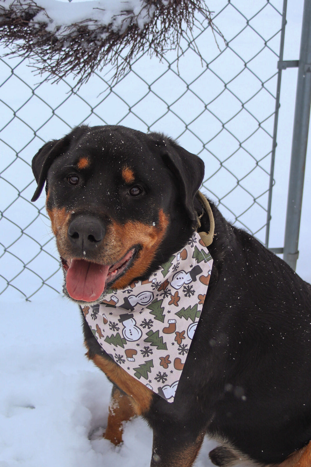 Snowman Bandana