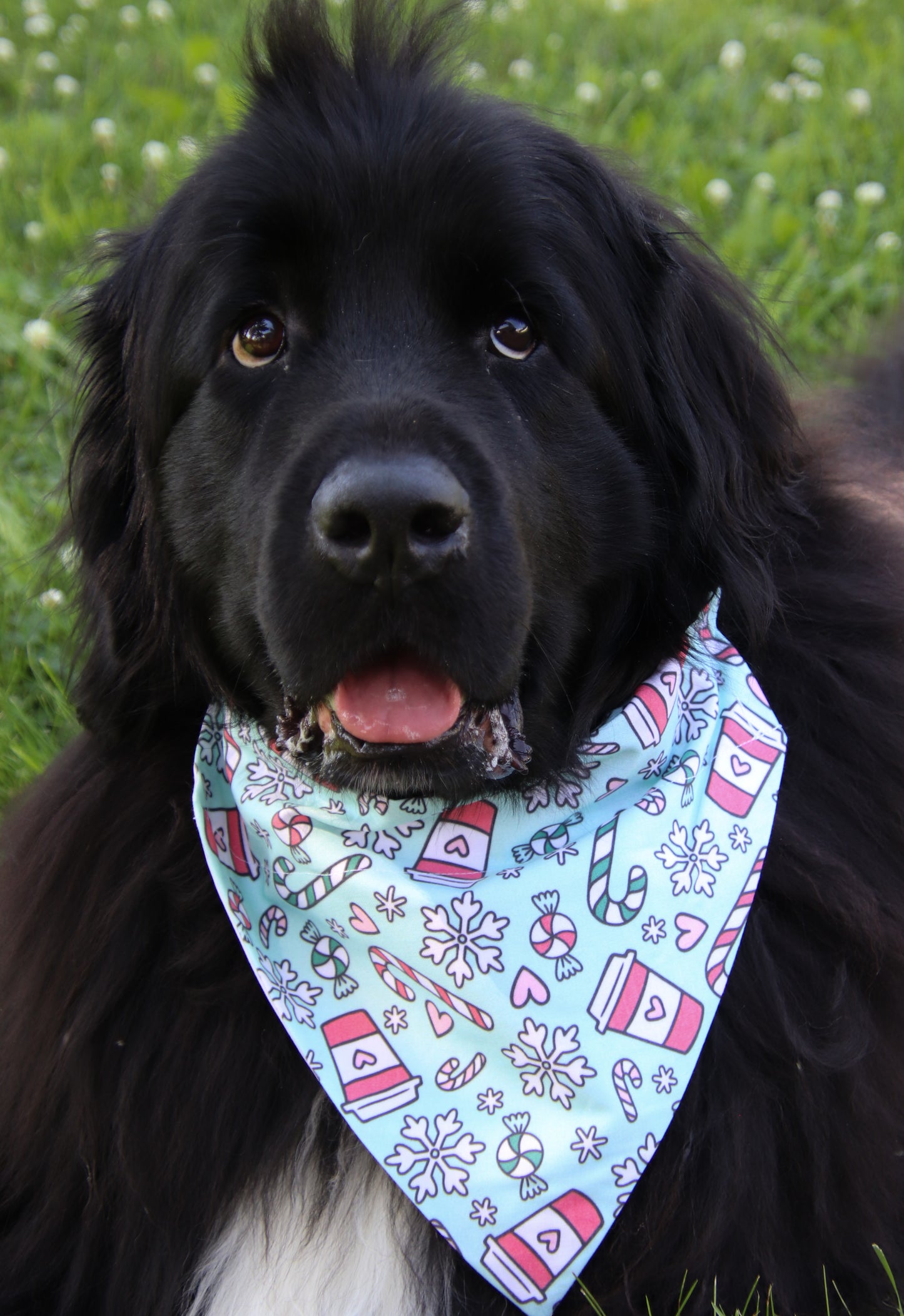 Christmas Coffee Bandana