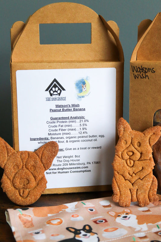 Watson’s Wish Peanut Butter Banana