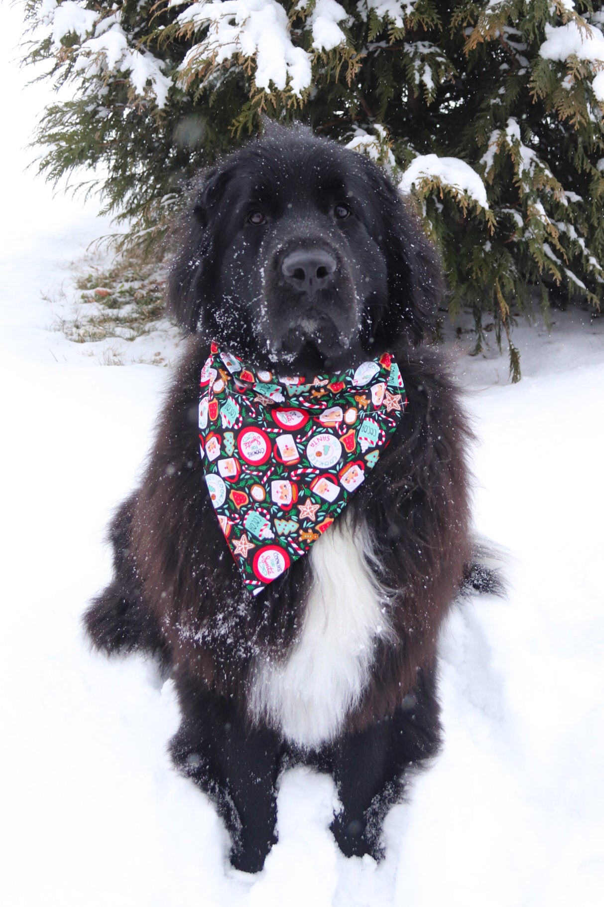 Cookies for Santa Bandana
