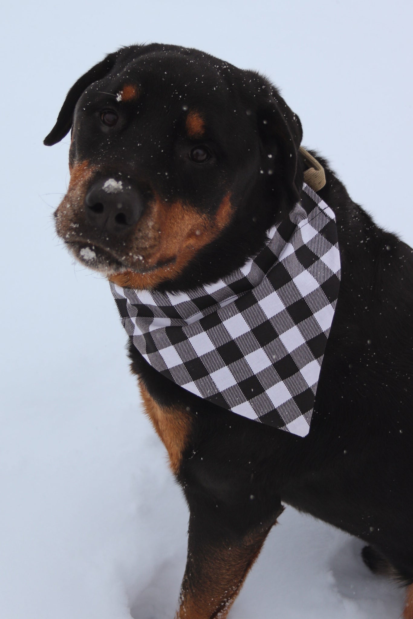 Black & White Plaid Bandana