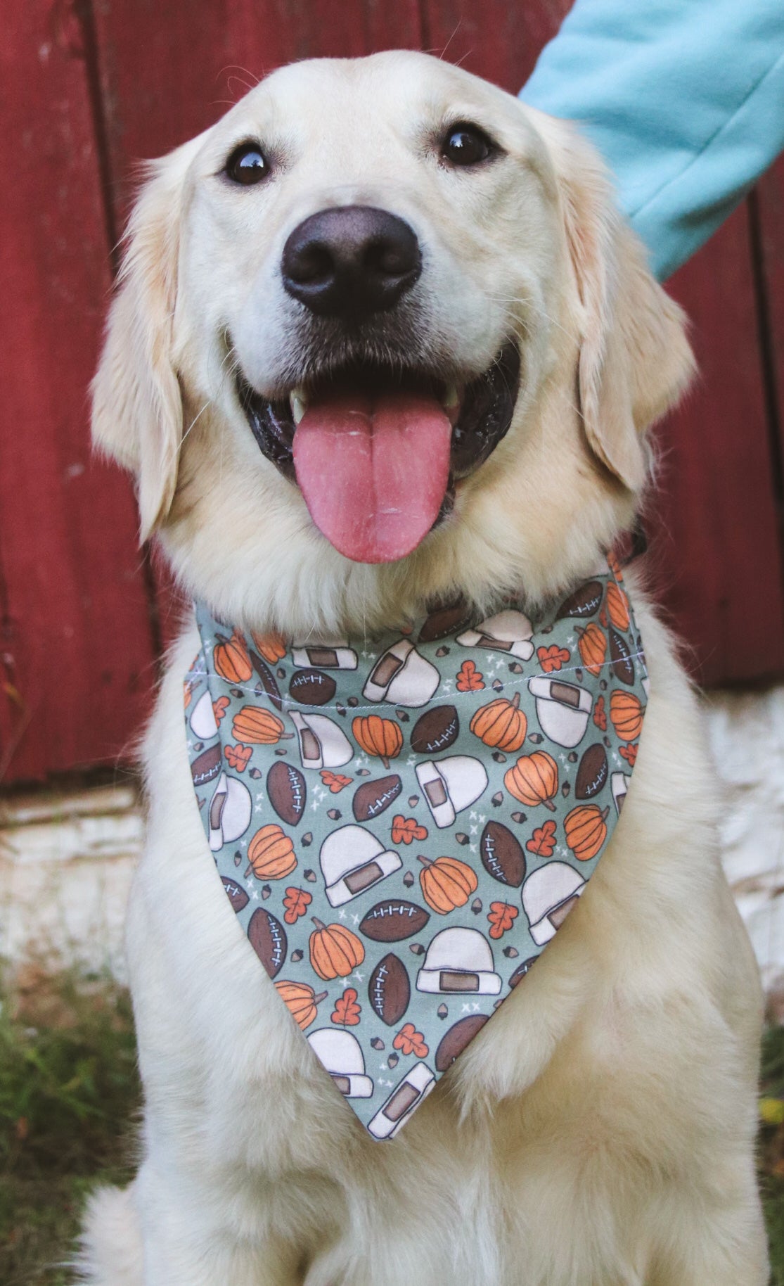 Football/Beanie/Pumpkin Bandana