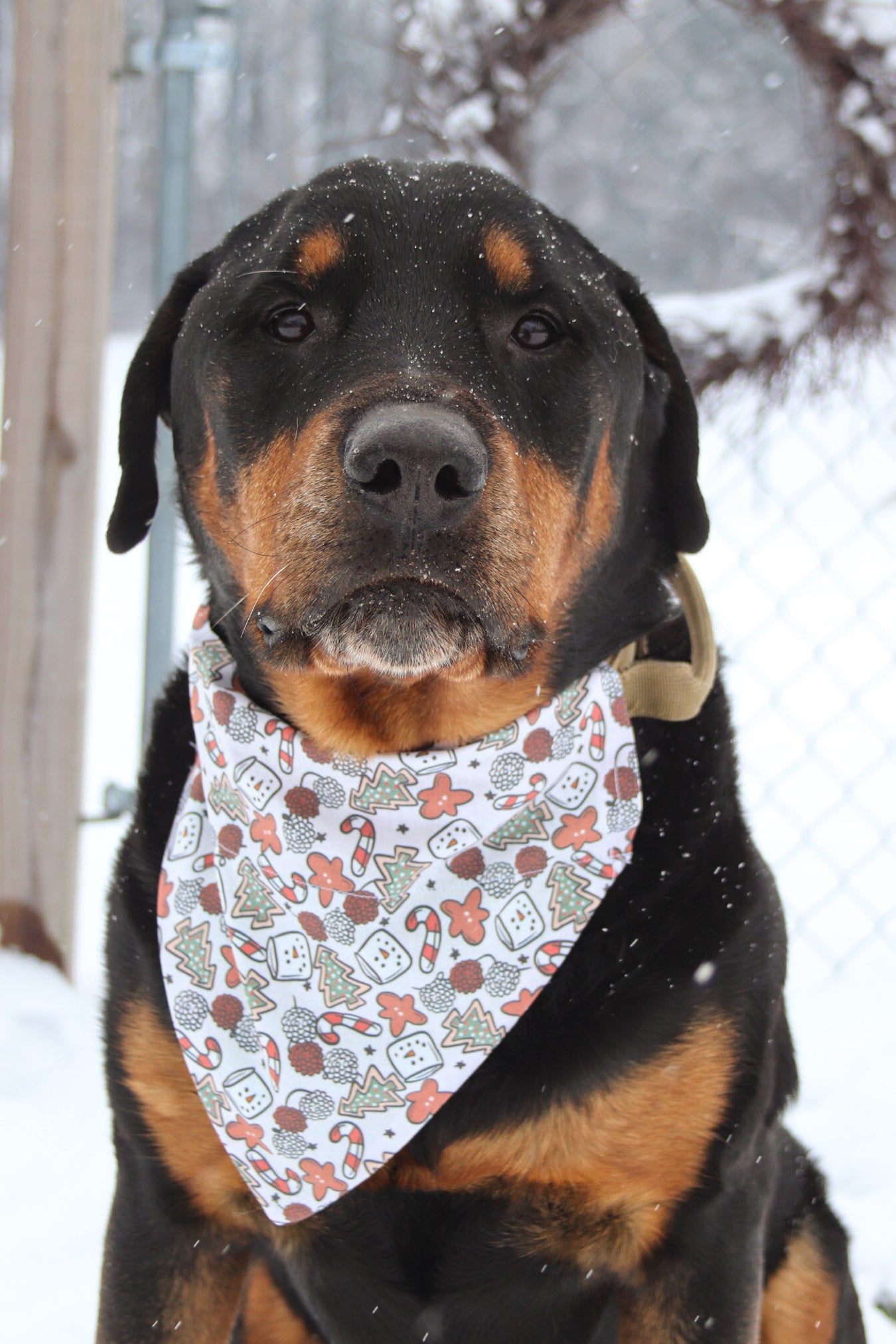 Marshmallow Snowman Bandana