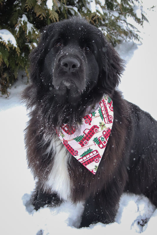 Plaid Truck & Tree Bandana